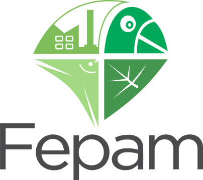 FEPAM